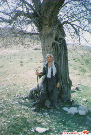آلبوم تصاویر شهید ابوذر محمدی از شهدای رومینی استان ایلام 
