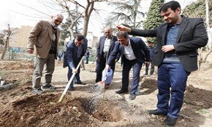 غرس 200 اصله نهال توسط کارکنان بنیاد شهید تهران غرس 200 اصله نهال توسط کارکنان بنیاد شهید تهران