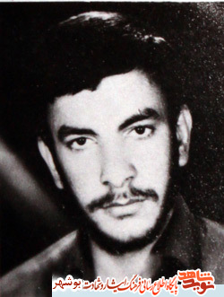 زندگینامه شهید غلامرضا شجاعی