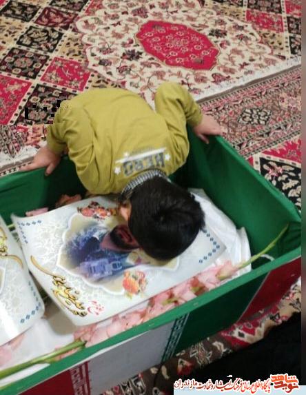 وداع جانسوز خانواده شهيد مدافع حرم«عليرضا بريرى» در معراج شهدا وداع جانسوز خانواده شهيد مدافع حرم«عليرضا بريرى» در معراج شهدا