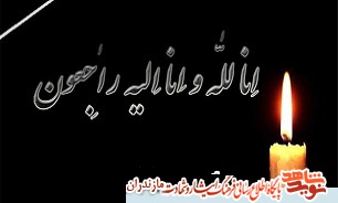 مادر شهيد جاویدالاثر«حسين شکرویان» به فرزند شهيدش پيوست