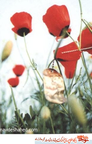 آمریکا هیچی غلطی در برابر ایران نمی تواند بکند آمریکا هیچی غلطی در برابر ایران نمی تواند بکند