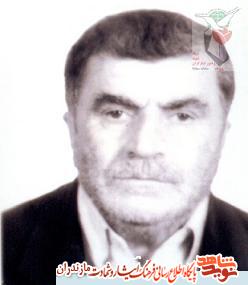 پدر شهيد «محمدعلی قلی تبار» به فرزند شهيدش پيوست