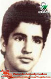 ی ی