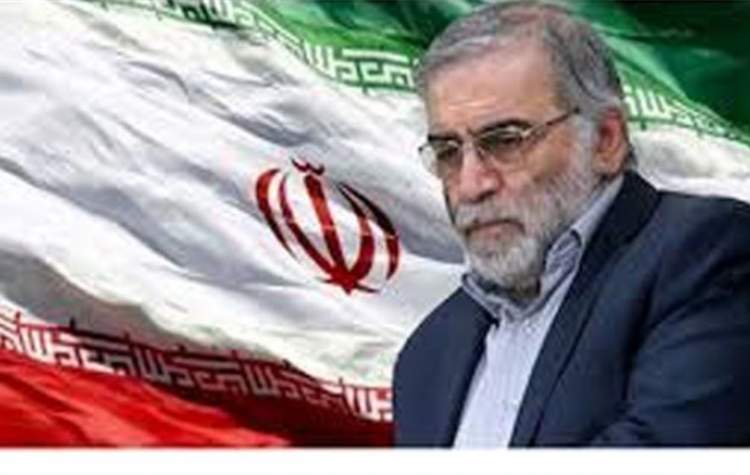 ی ی