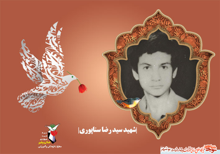 شهید 16 ساله ای که نذر امام رضا بود شهید 16 ساله ای که نذر امام رضا بود