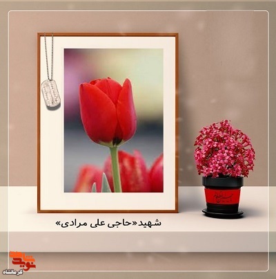 بمباران هوایی ناجوانمردانه دشمن او را به شهادت رساند