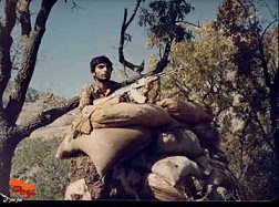 شهید «نصرت اله اکبری» به روایت تصویر