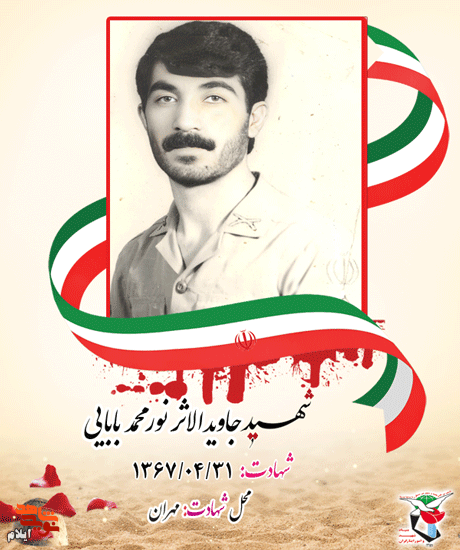 کاش تا زنده هستم از او خبری برسد
