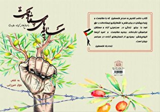 معرفی کتاب/ «سایه‌های مقاومت»